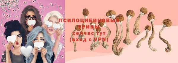 бошки Волосово